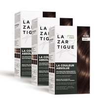 L'offre Absolue n°4.00